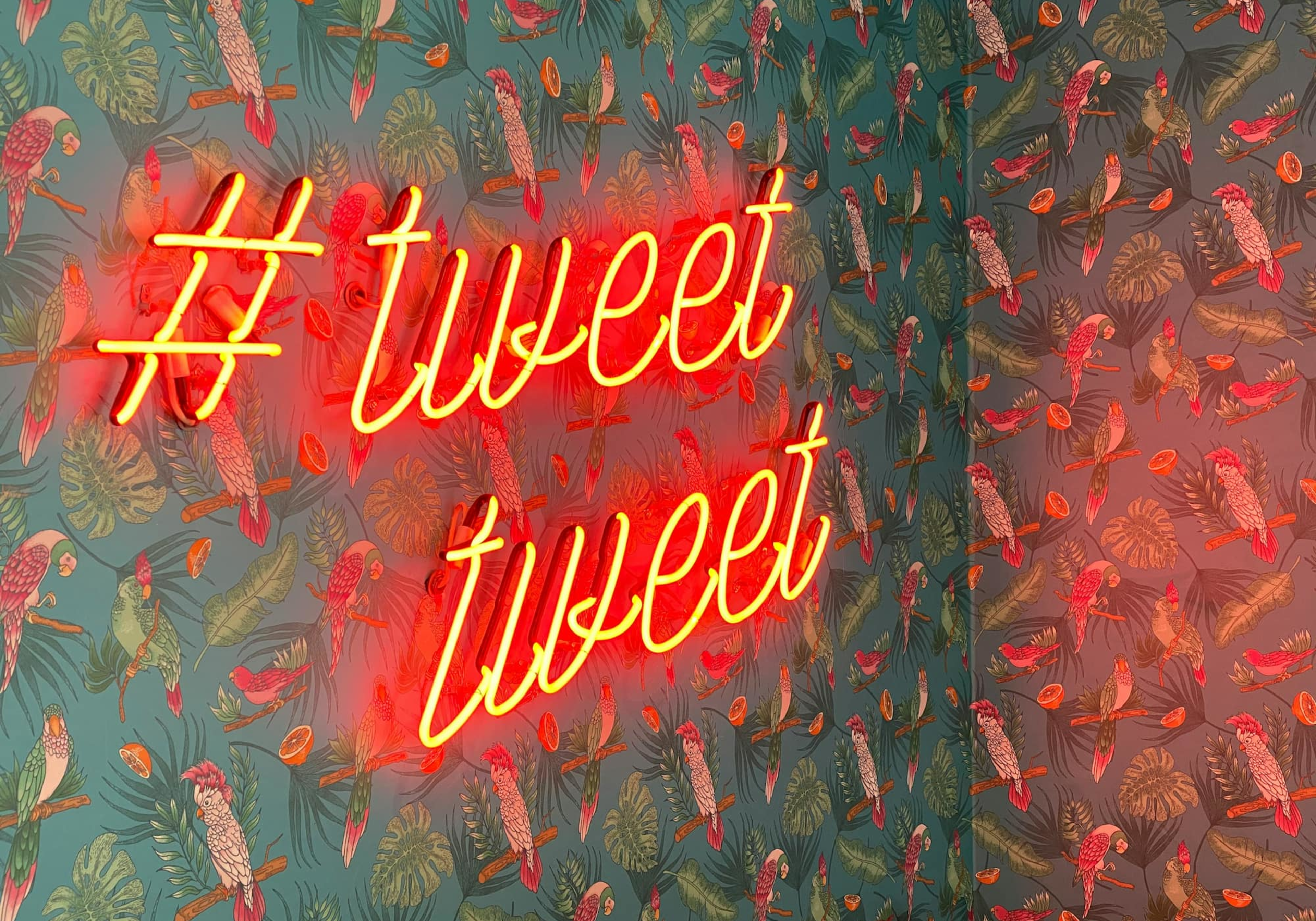 Neon sign saying Tweet Tweet on a patterned wall Photo by Chris J. Davis on Unsplash
