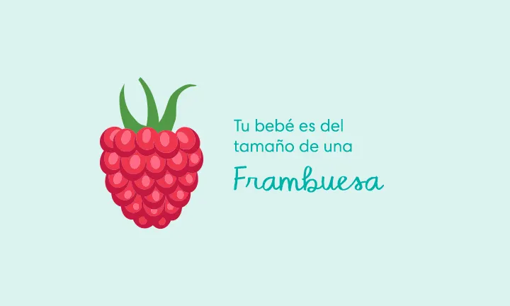 Tu bebé es del tamaño de una frambuesa