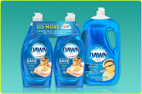 Dawn_Product_Articles