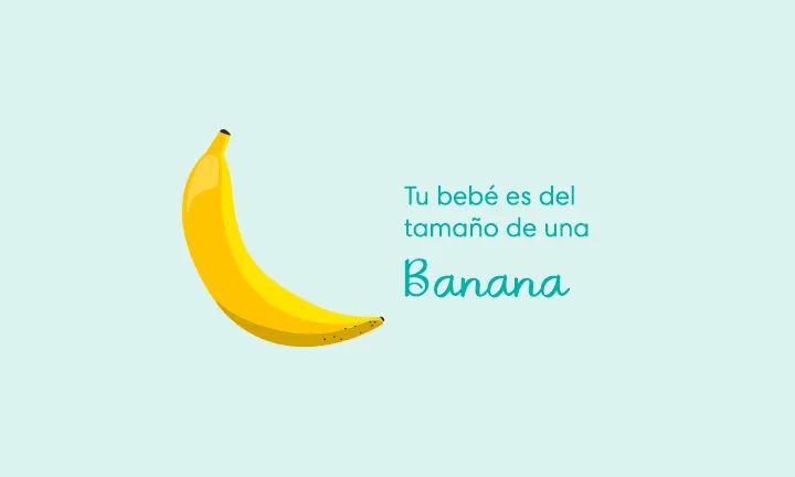 Tu bebé es del tamaño de una banana