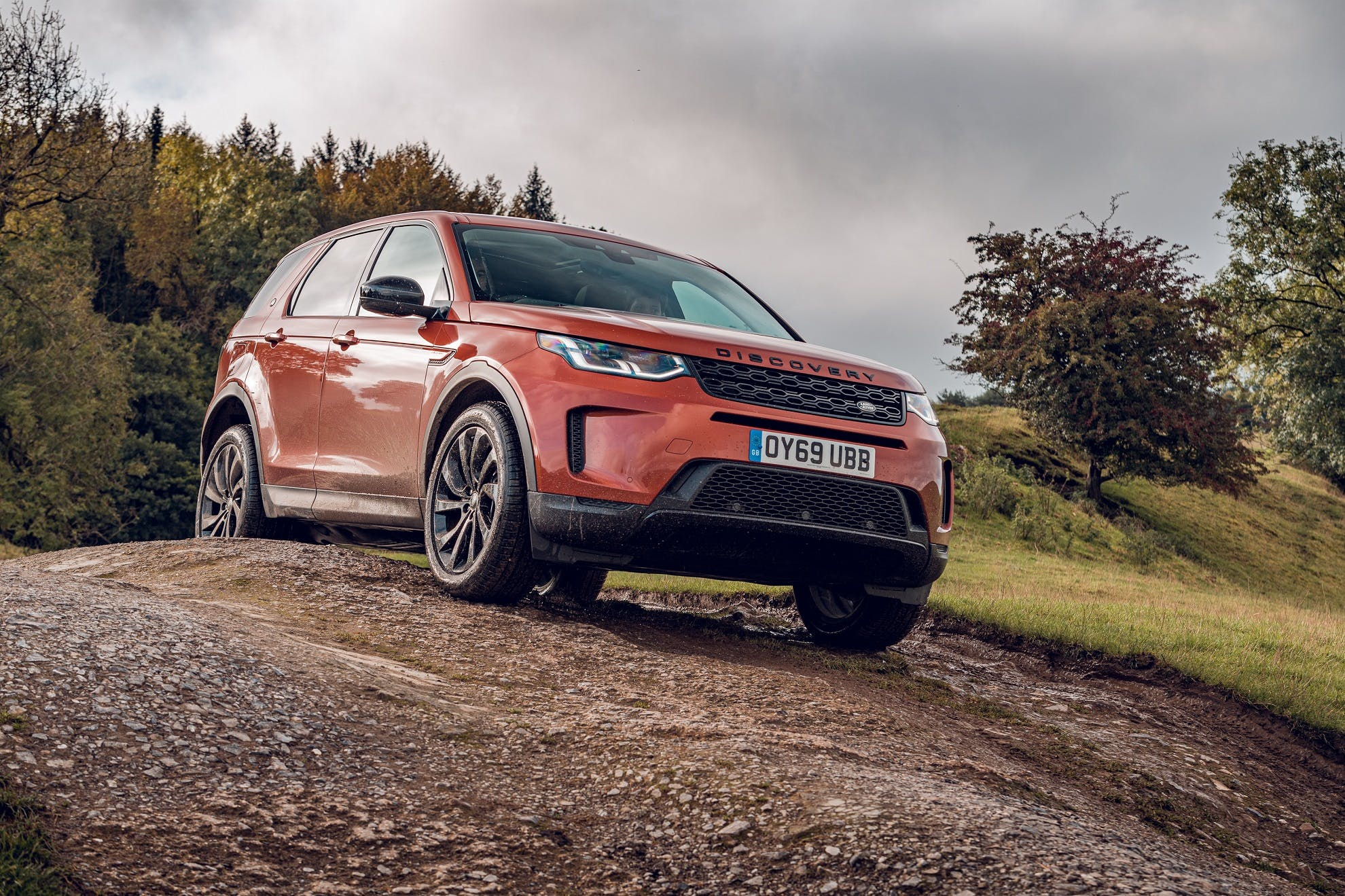 Which Land Rover Model Is Right for You?