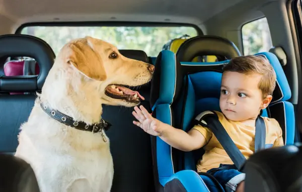 Dog and baby in car