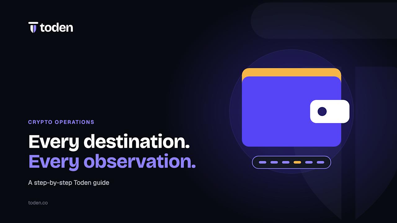 Toden editorial illustration: Every destination. Every observation.