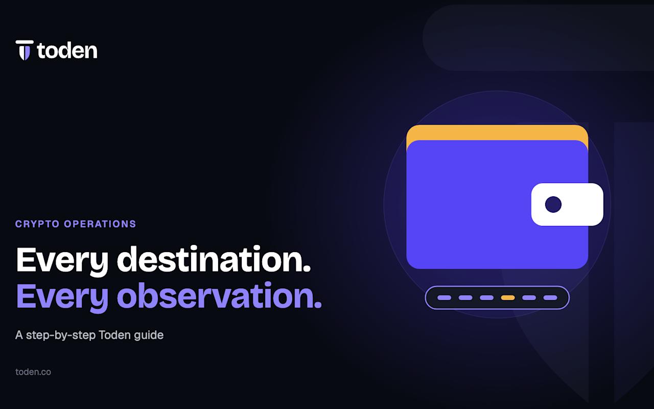 Toden editorial illustration: Every destination. Every observation.