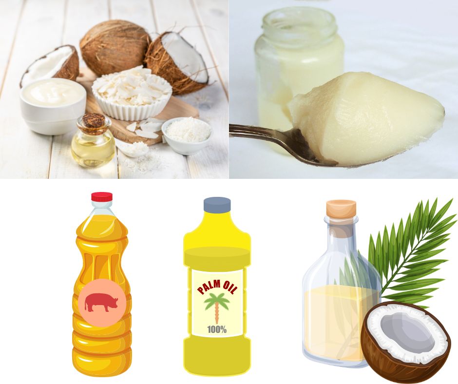 palm oil coconut oil saturated fat