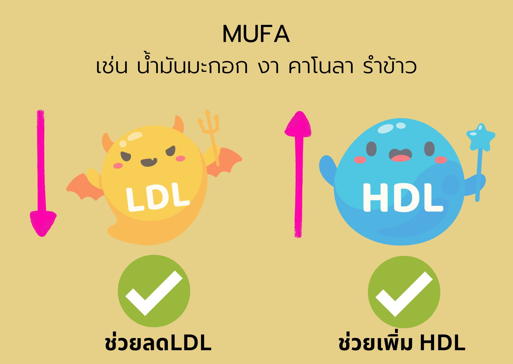 MUFA LDL HDL