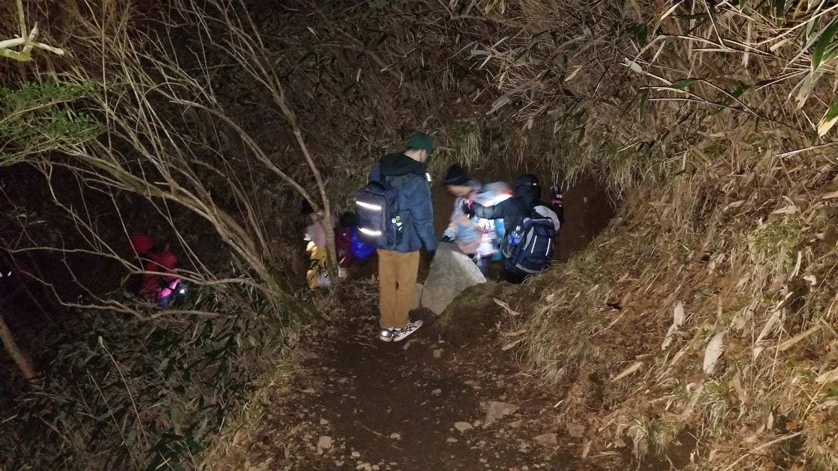 Hành trình Kintoki trong đêm