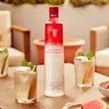 Ciroc Summer Watermelon Recipe