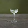 Seedlip Martini (1)