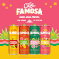 Casa Famosa Hard Agua Fresca Variety Pack