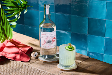 Casamigas Spicy Cucumber Jalapeno Marg