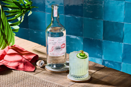 Casamigas Spicy Cucumber Jalapeno Marg