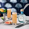 Don Julio Paloma Cocktail Kit Serve