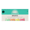 Casamigos Margarita Variety Pack RTD BACK