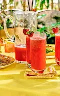 Thebar Strawberry Paloma Igfeed