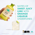 Casamigos Classic Lime Margarita FIFA Tasting Notes Image 750ml Large