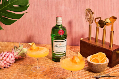 Tropical Shores Gin Sour Tiki