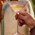 Rose Martini Glasses Caskata