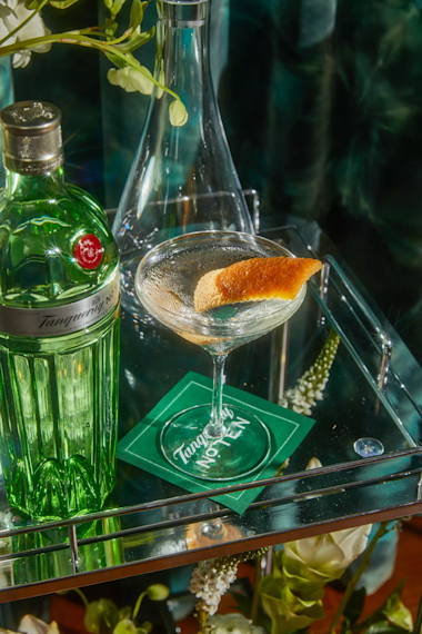 Tanqueray Tucci AP 2