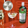 Tanqueray-London-Dry-Gin F24 AWARD