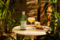 Bangkok Bees Knees Tanqueray