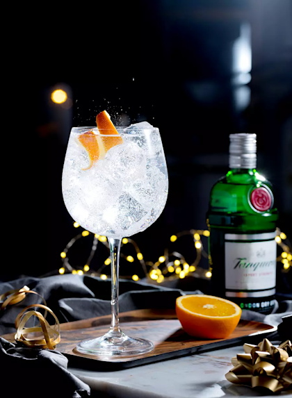 Winter Gin Tonic Main
