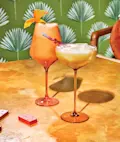 2 Tropical Cocktail Glasses Coupe And Wine