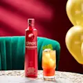 CIROC POMEGRANATE SERVE Wintersunrise