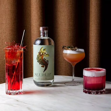Seedlip Dry January Cocktails Article