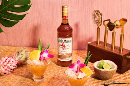 Spiced Jungle Bird Recipe Tiki