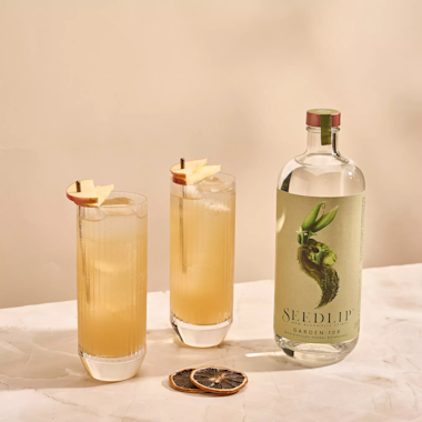 Seedlip Non-Alcolholic Cocktail