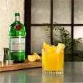 Gin And Orange Juice Cocktail Recipe