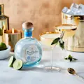 Don Julio Blanco Tequila Margarita