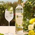 KETEL ONE BOTANICALS CUCUMBER MINT SERVE