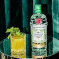 Tanquerayxrachel Zoe Lifestyle