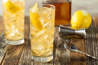 Bourbon And Ginger Ale Cocktail Recipe