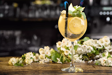 Aviation Elderflower Gin Tonic Cocktail Photo