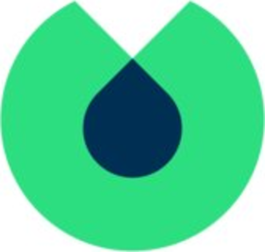 Blinkist Logo