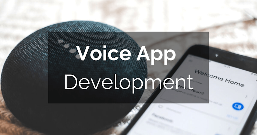 Voice App Development