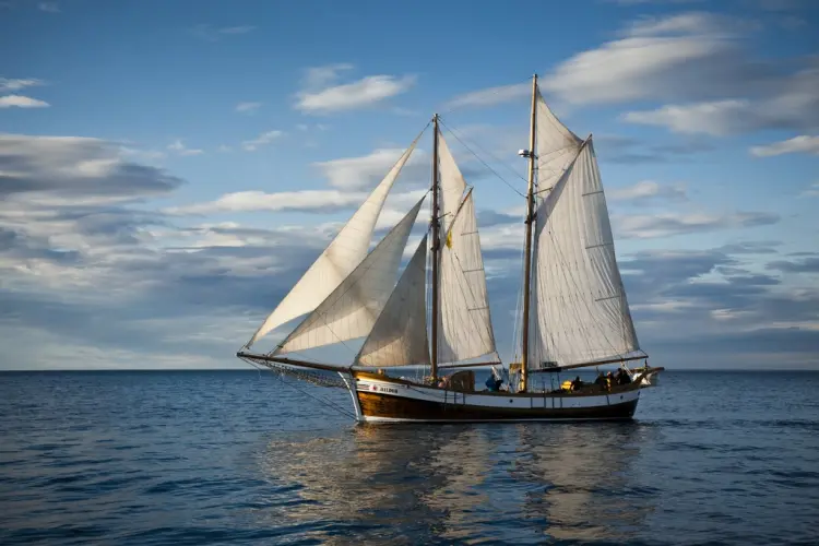 North Sailing / Hurtigruten