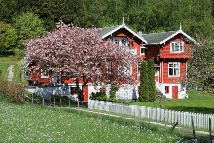 Spring in Norway 