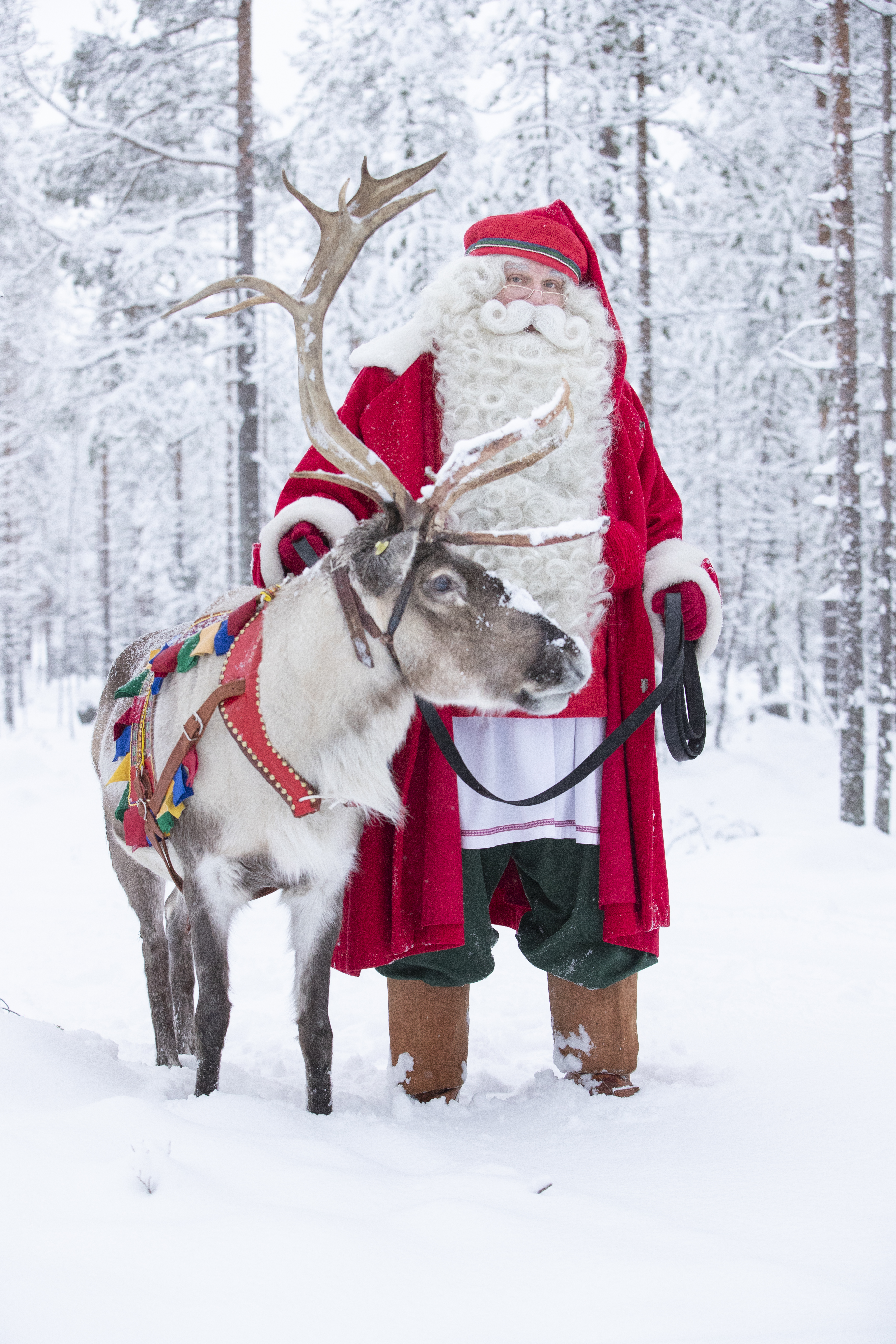 Santa Claus Reindeer Winter (7) Copyright ©Visit Rovaniemi
