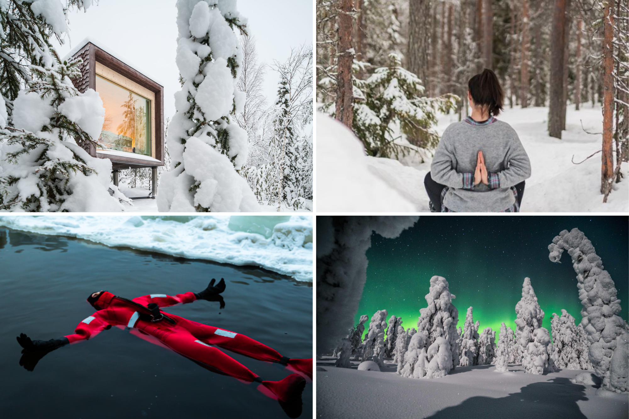 Arctic TreeHouse Stay in Finland 