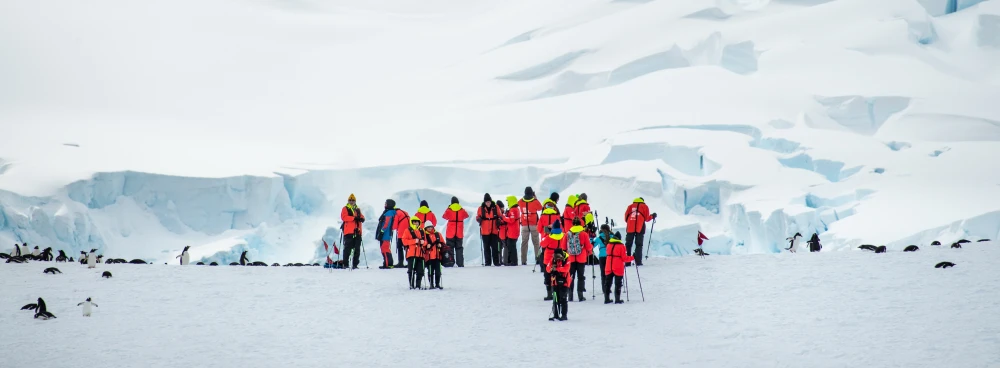 Stefan Dall, Hurtigruten 