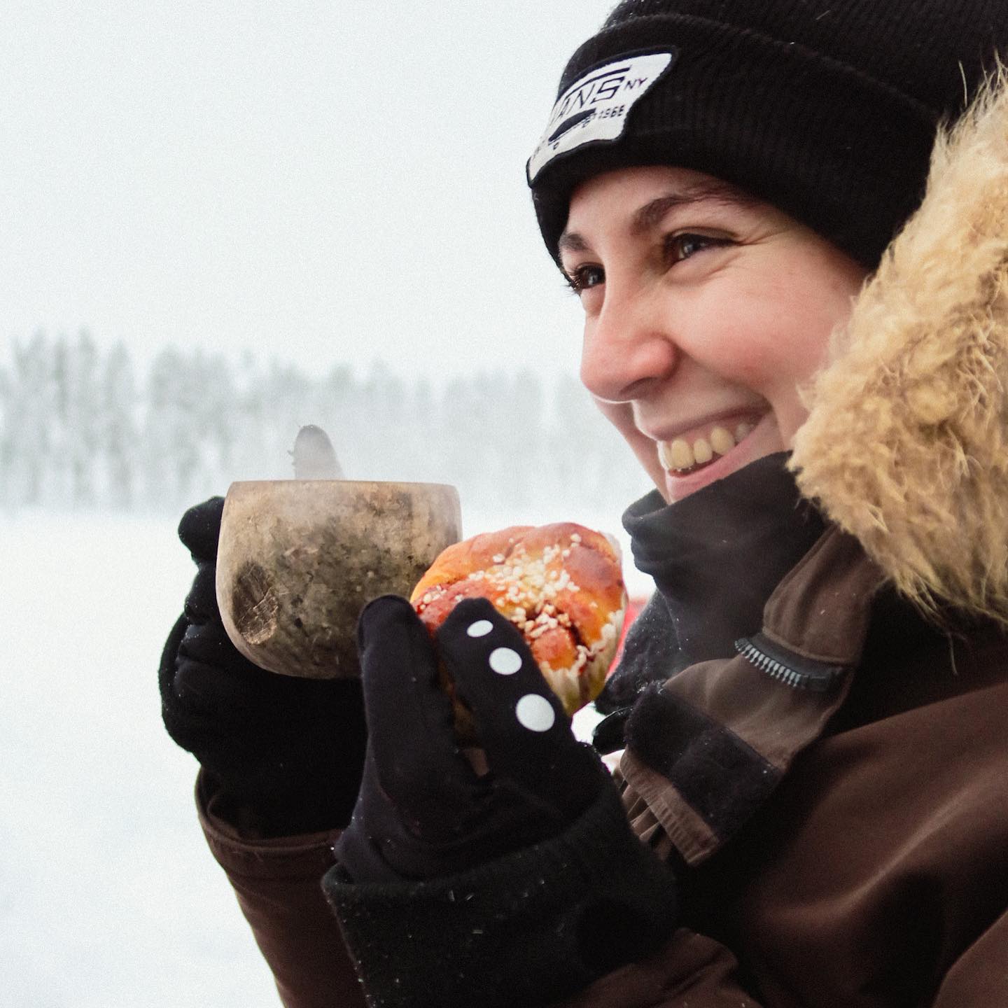 Lapland Guesthouse Sweden 