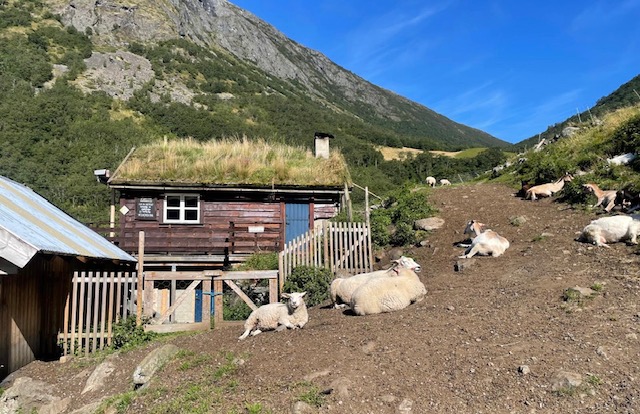 Aurland 29/2