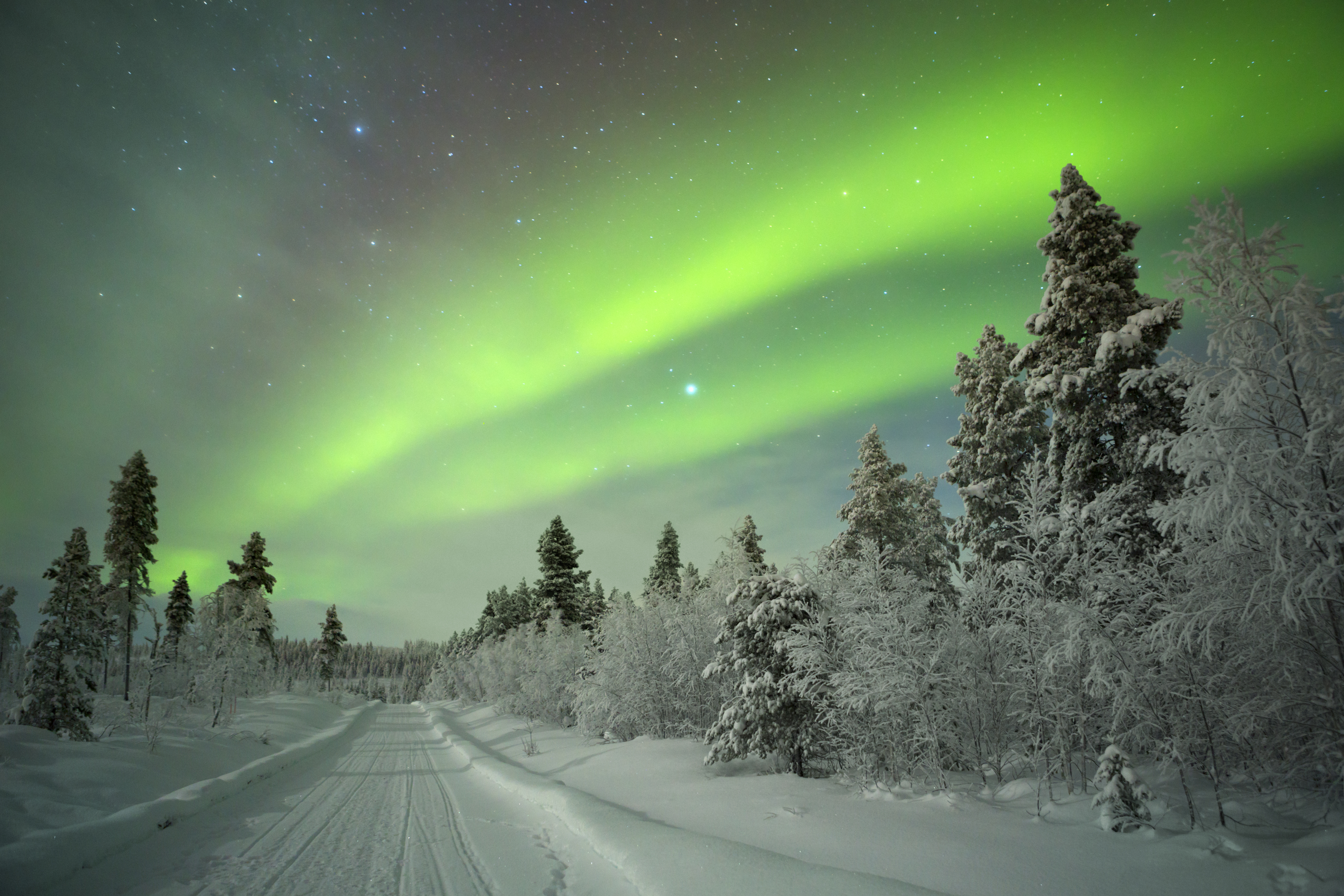 Travel Bucket List 2024 Nordic And Scandinavia 50 Degrees North   Shutterstock 305354732 