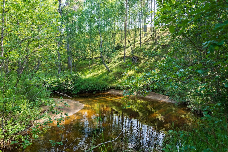 Snowchange Altto-oja