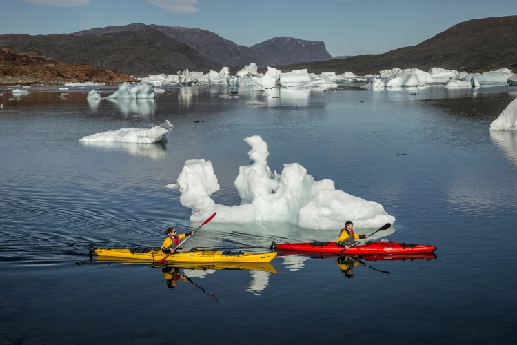 Two kayakers passing icebergs in the fjord Sermilik near Tasiusaq sheep farm in South Greenland, Stacy William Head