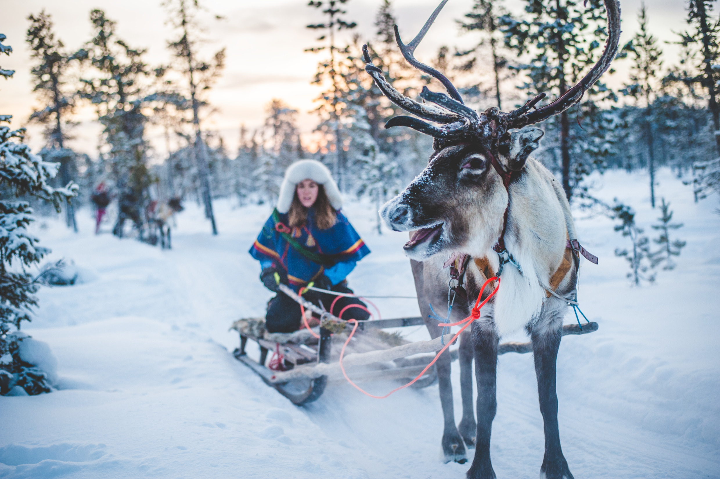 Sami Sweden Nutti Sami Siida Jukkasjarvi-sami eco tourism-5633-text www.nutti.se - credits Asaf Kliger and imagebank.sweden.se
